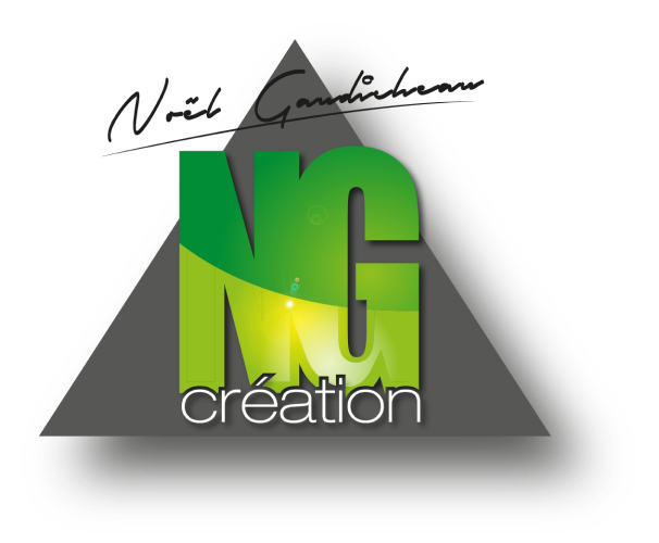 Ng Creation Installation De Cuisine Aux Sables Dolonne 85 Logo